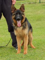 /album/fotogaleria-photos1/beckov-vystava-063-jpg/